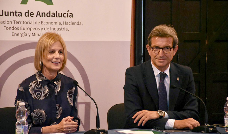 Ayudas de aviación sostenible en Jerez
